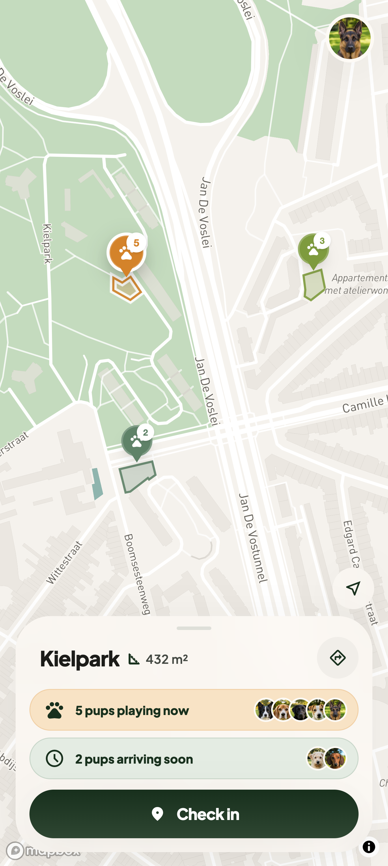The Antwerp map zooms from the whole city in to the Kiel: three parks with their outlines drawn, and a card for Kielpark at the bottom with five pups playing now