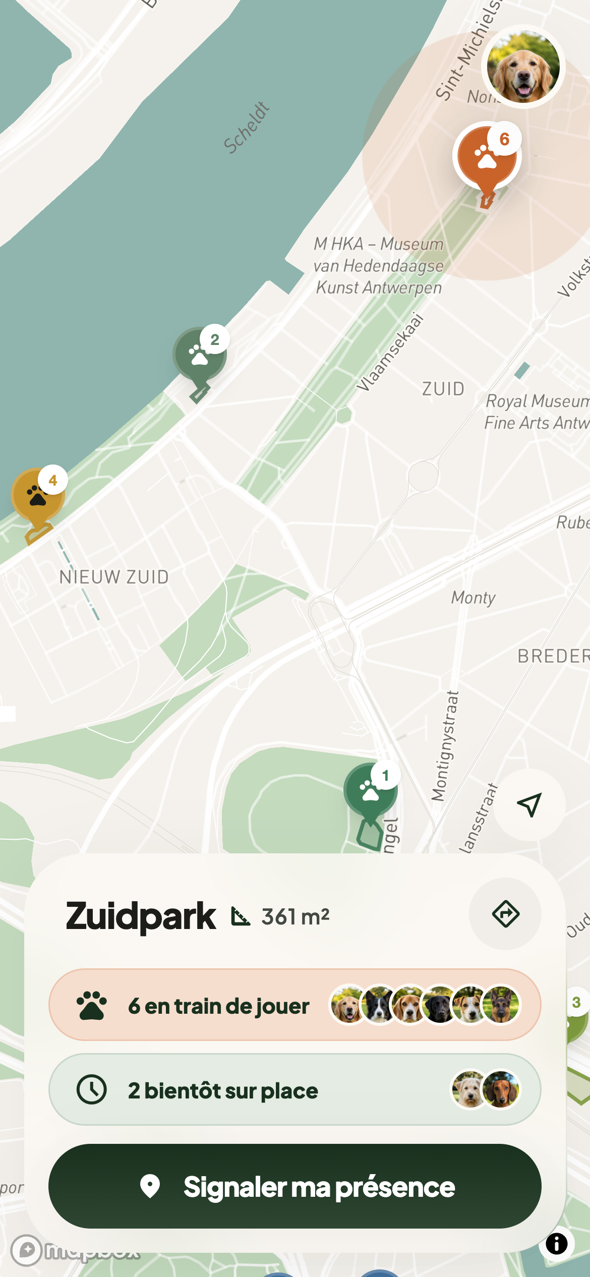 La carte Dogs Social d'Anvers sur un téléphone, avec la fiche du Zuidpark: six chiens en train de jouer et deux bientôt sur place