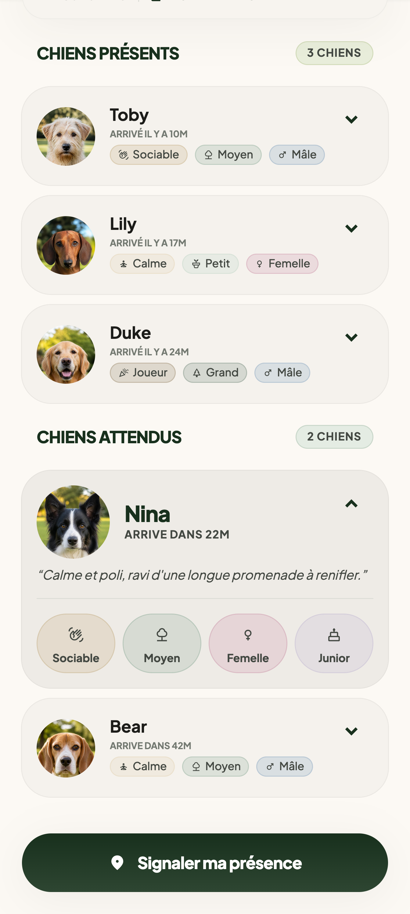 L'écran du parc en deux moitiés: en haut les chiens présents, en bas ceux attendus, avec une fiche ouverte sur la photo, la bio et quatre étiquettes