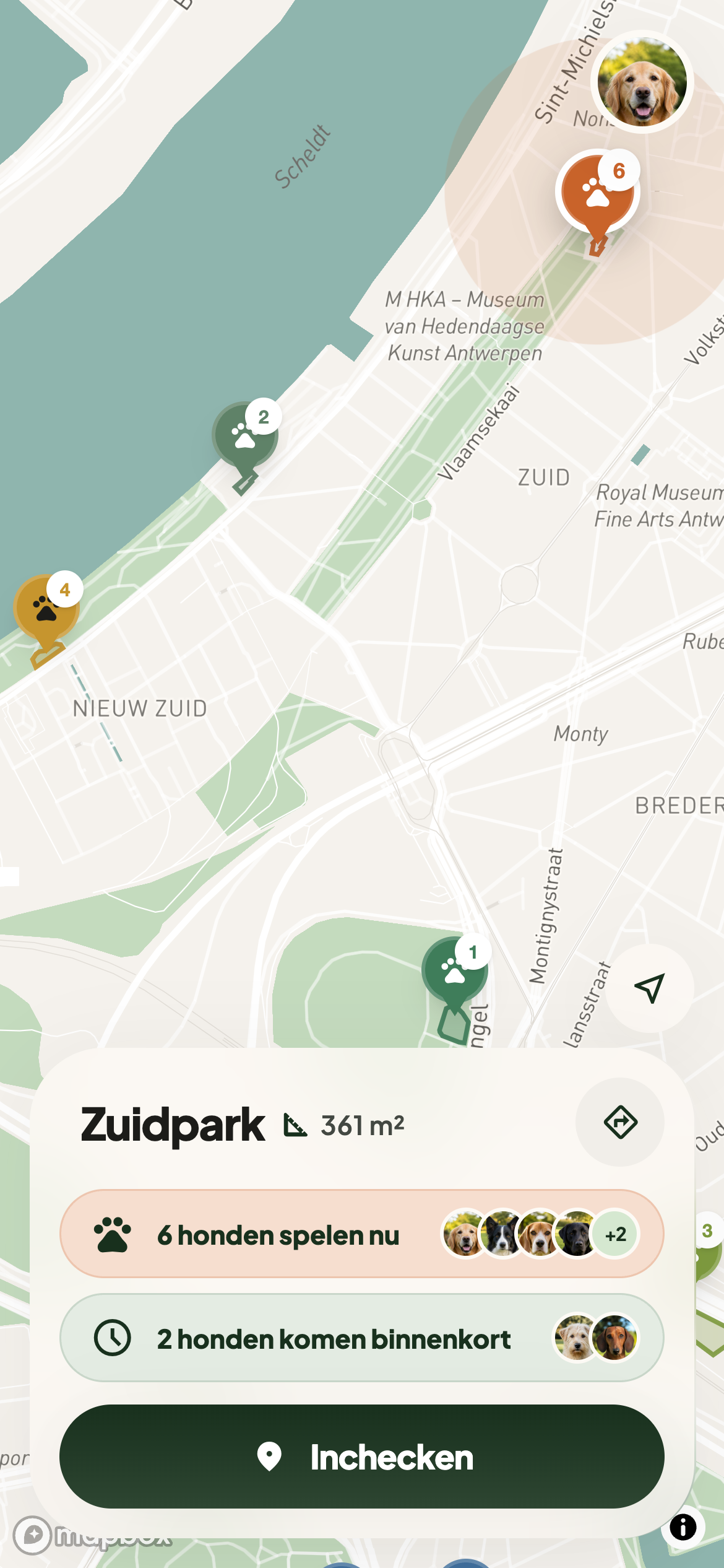 De Dogs Social-kaart van Antwerpen op een telefoon, met onderaan een kaartje van Zuidpark: zes honden spelen nu, twee komen binnenkort