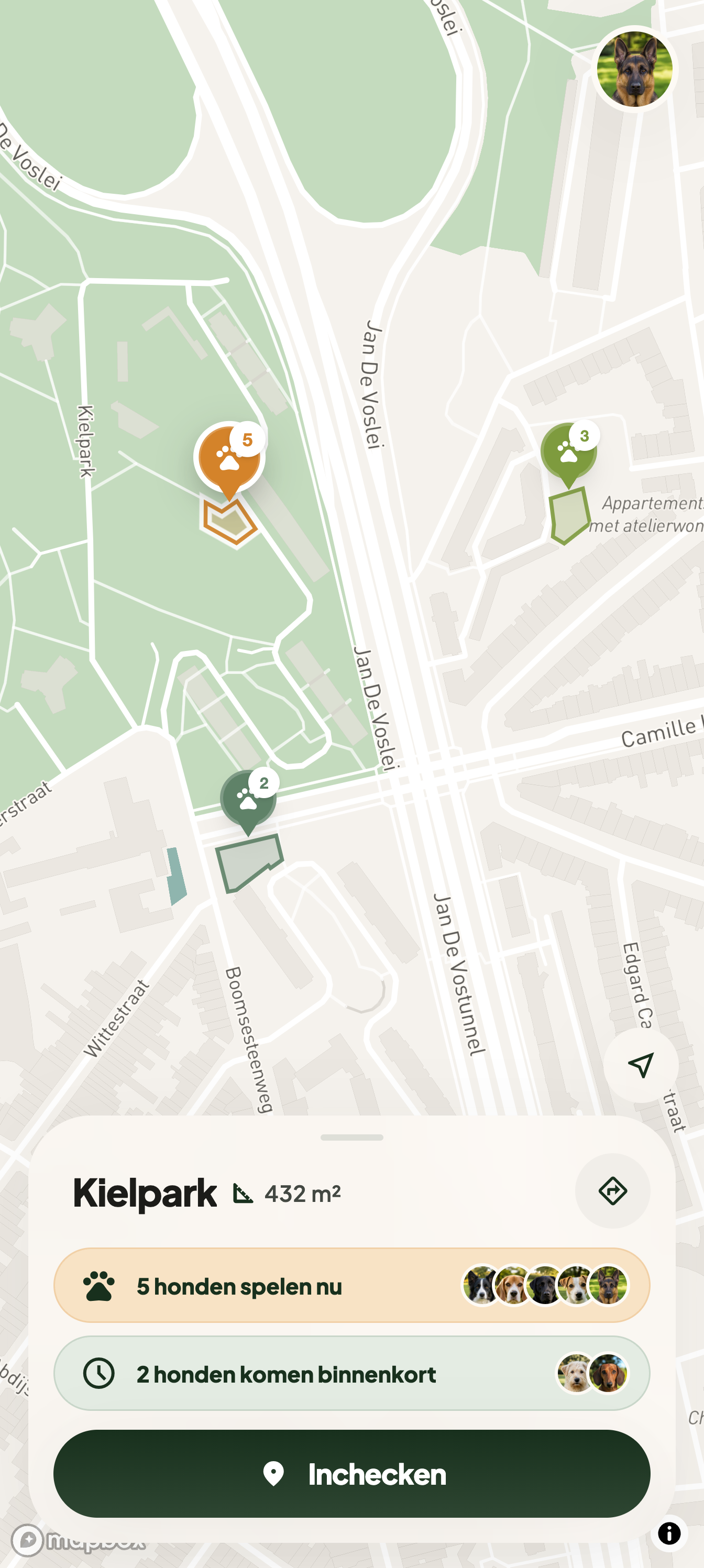 De Antwerpse kaart zoomt van de hele stad in op het Kiel: drie parken met hun grens getekend, en onderaan het kaartje van Kielpark met vijf honden die nu spelen